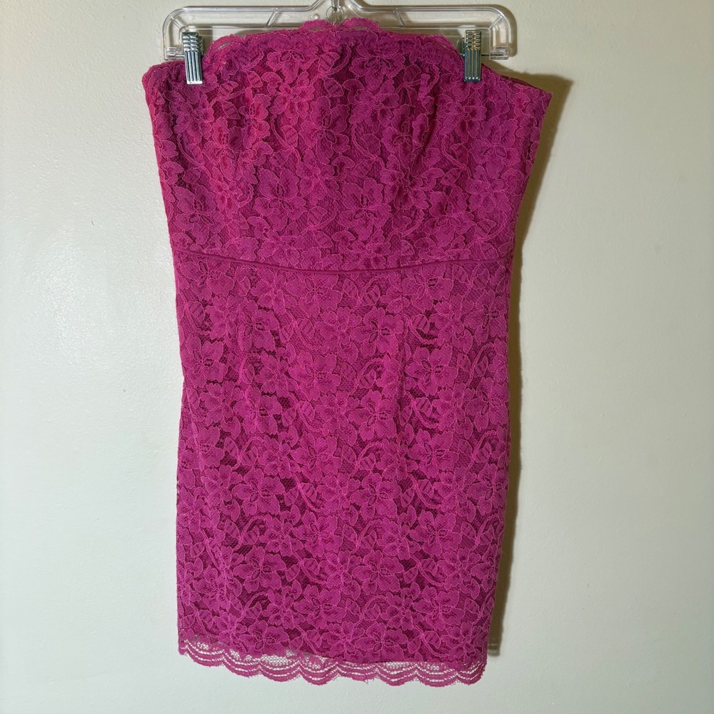 Diane von Furstenberg‎ Walker Lace Strapless Corset Dress Size 12 Fuchsia Pink